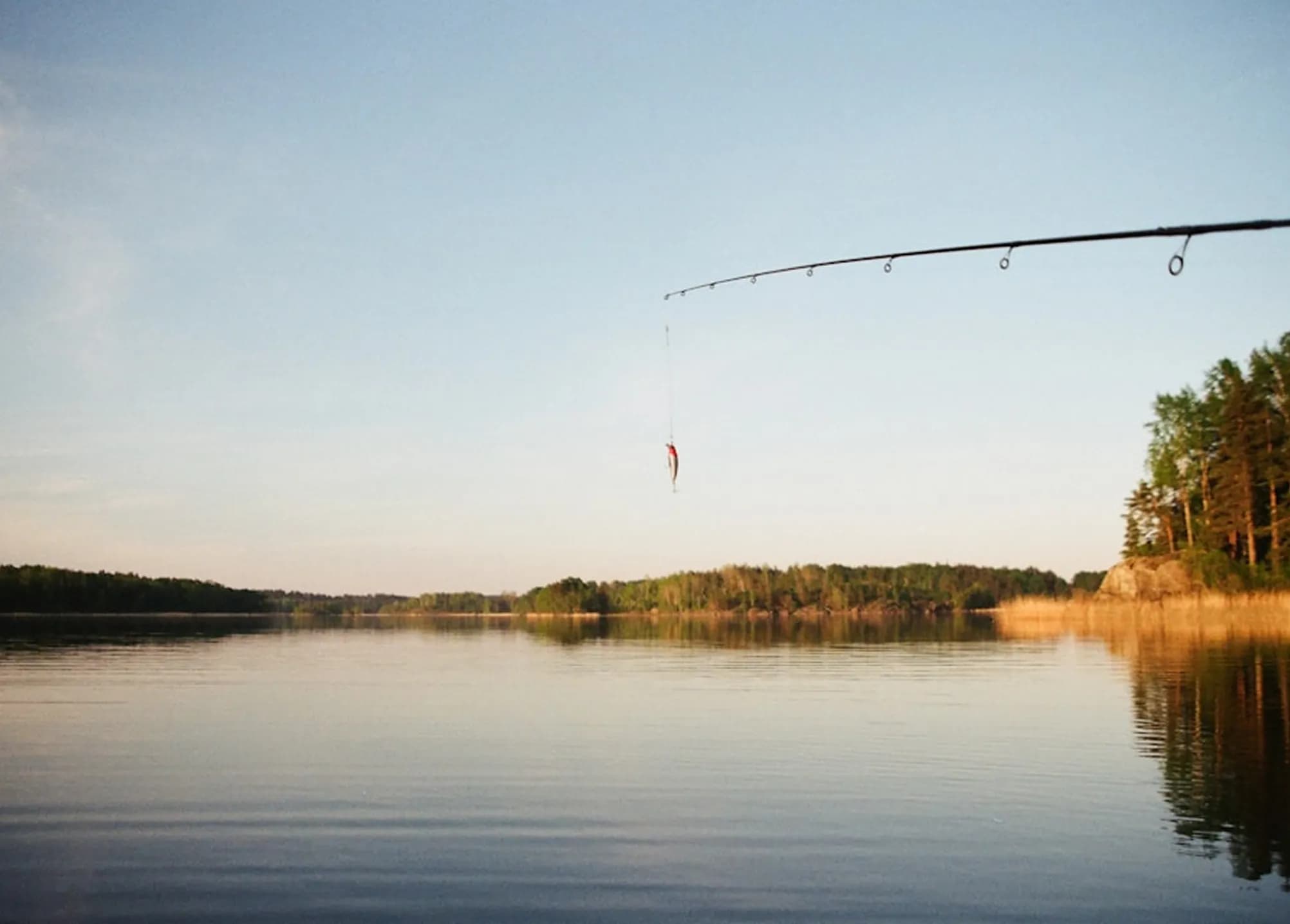 To catch fish