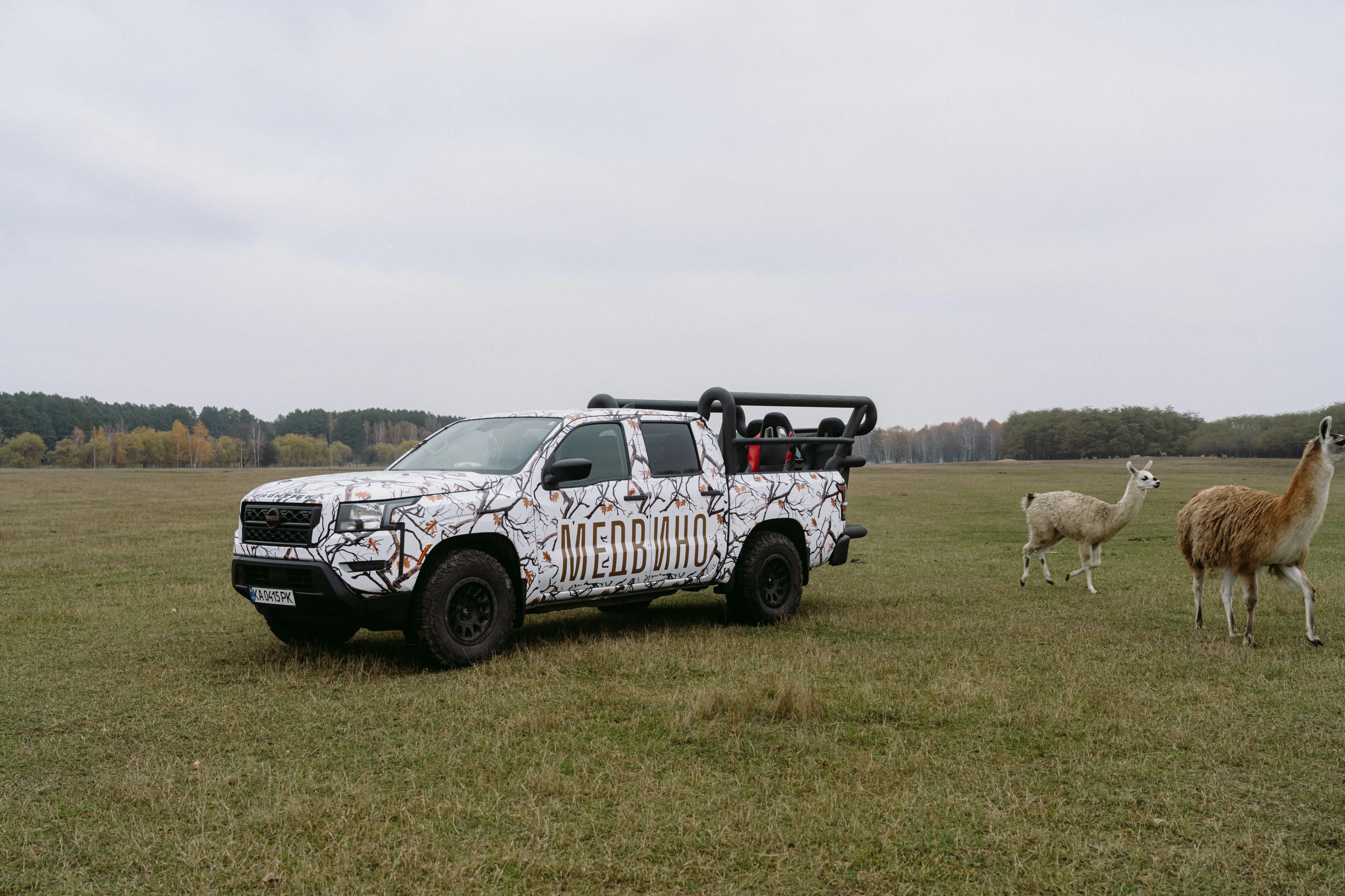 Lux pickup truck