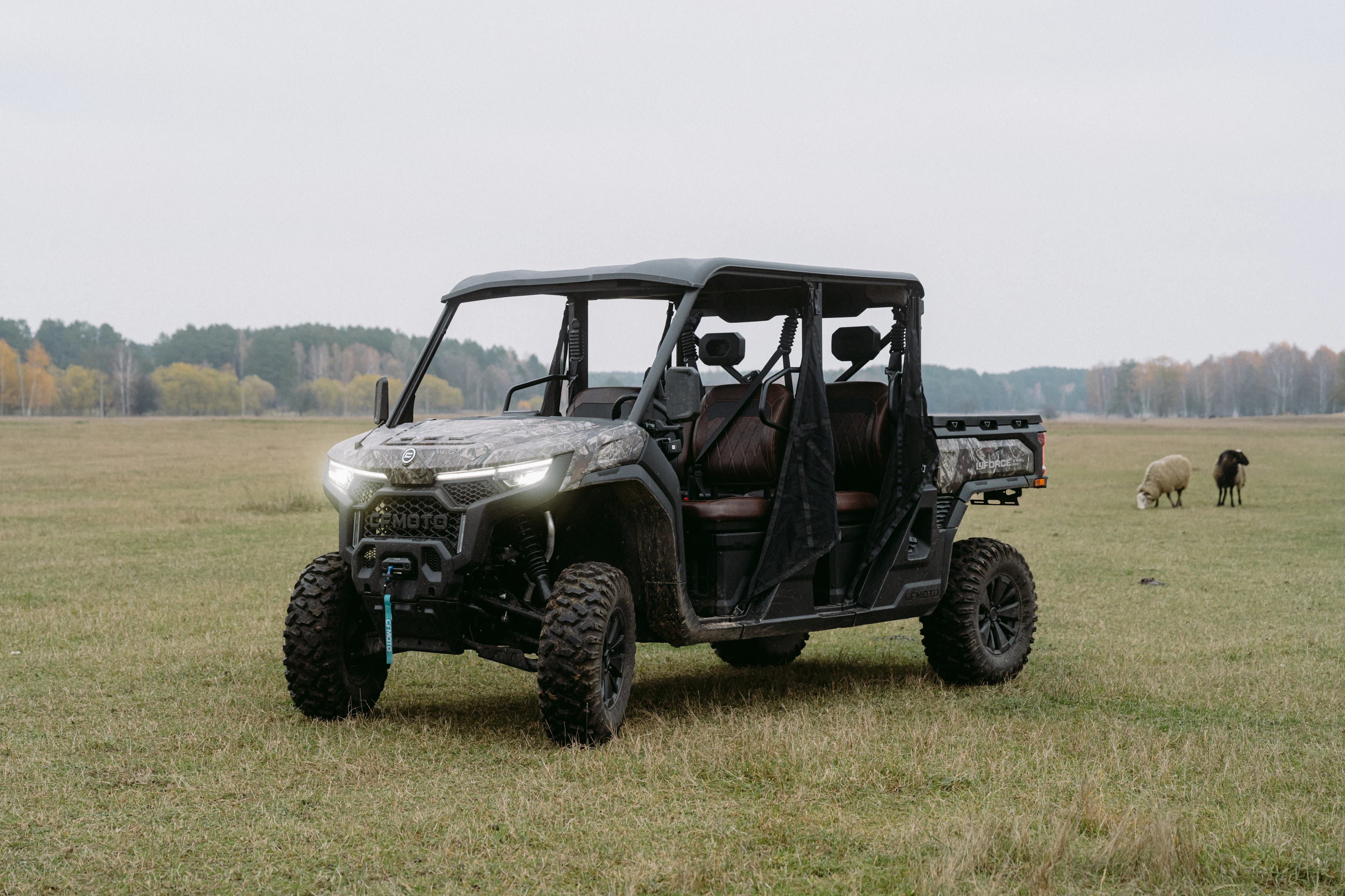Buggy