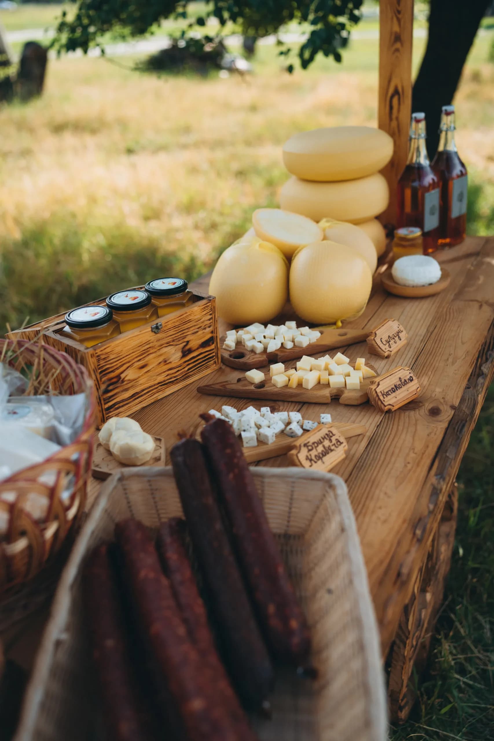 Активність