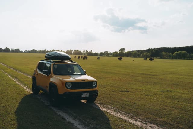 Активність