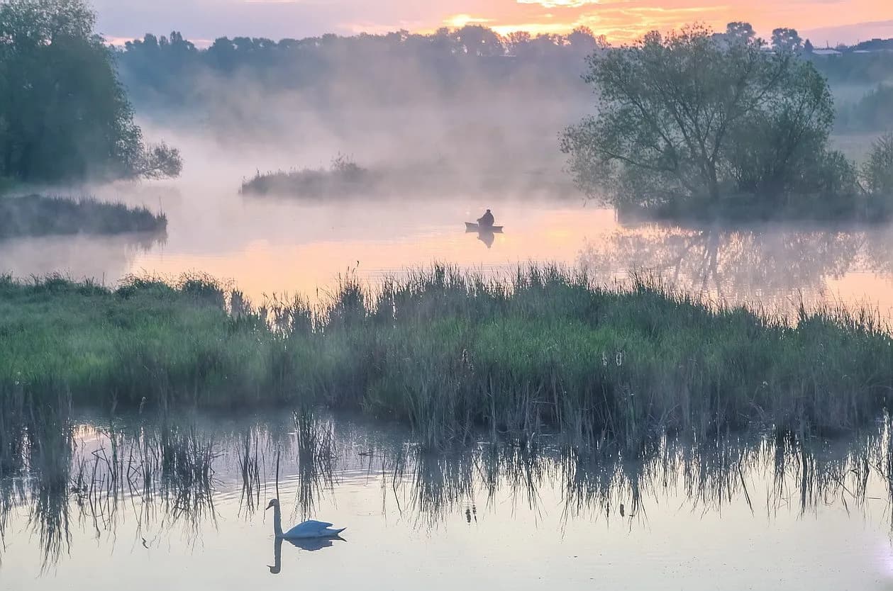 Відновлюємо розмаїття тварин і рослин