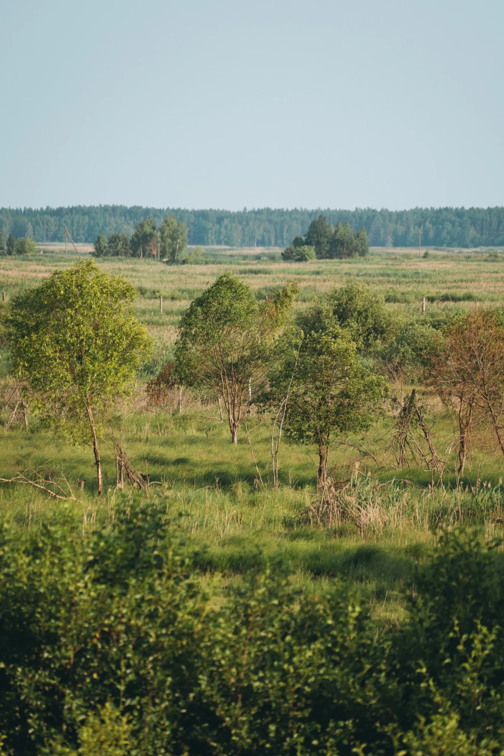 Відновлюємо розмаїття тварин і рослин